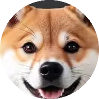 AKITA-BSC