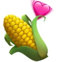 玉米 (CORN)