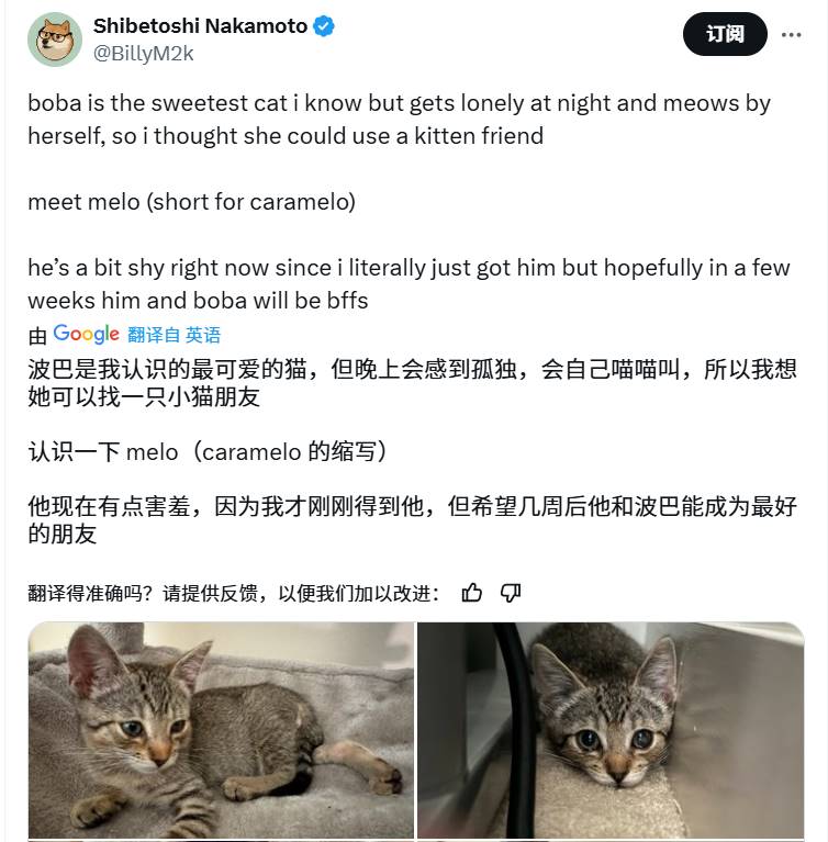 Meme热潮持续：魔性狗子   可爱小猫，半天之内再现千倍涨幅？