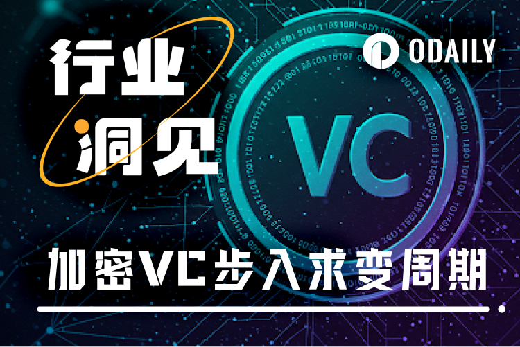 深度对话：加密VC生死考验，出局还是出圈？
