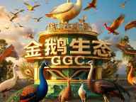 封面图片